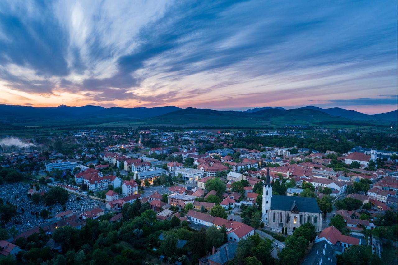 Hotel Bodrog Wellness & Elix Spa Sárospatak Dış mekan fotoğraf