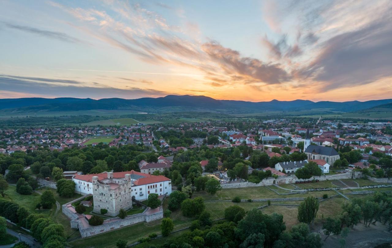 Hotel Bodrog Wellness & Elix Spa Sárospatak Dış mekan fotoğraf
