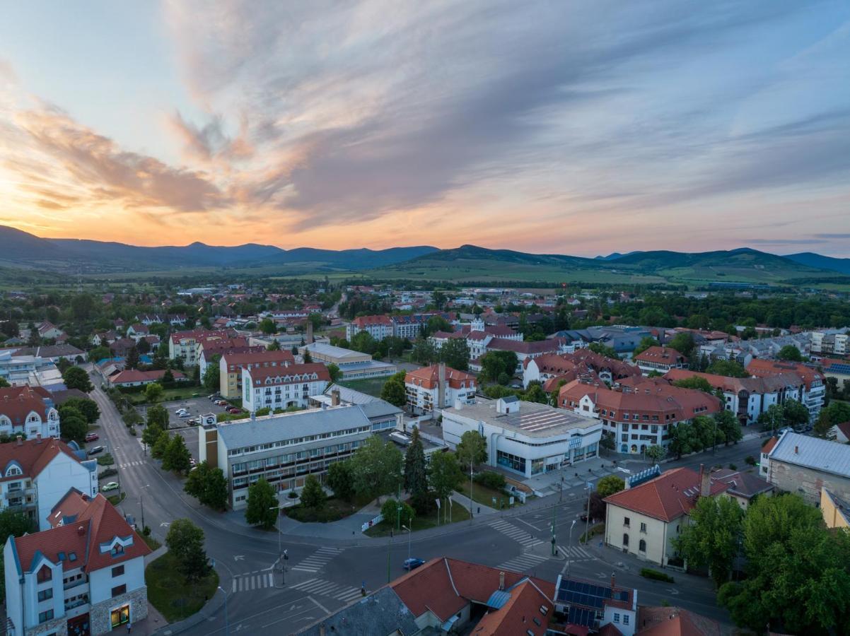 Hotel Bodrog Wellness & Elix Spa Sárospatak Dış mekan fotoğraf
