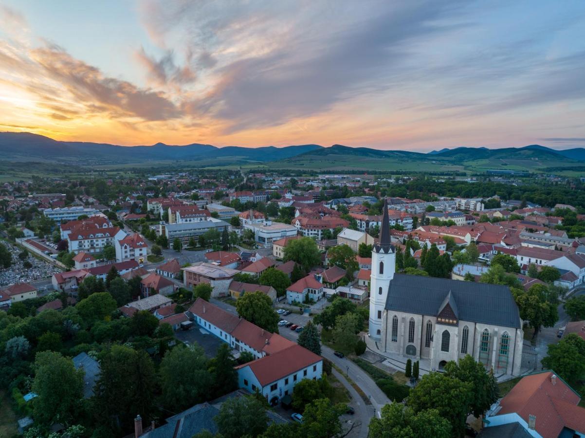 Hotel Bodrog Wellness & Elix Spa Sárospatak Dış mekan fotoğraf