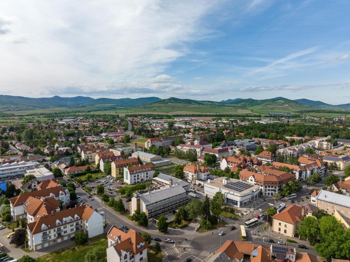 Hotel Bodrog Wellness & Elix Spa Sárospatak Dış mekan fotoğraf